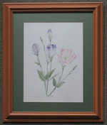 Lisianthus