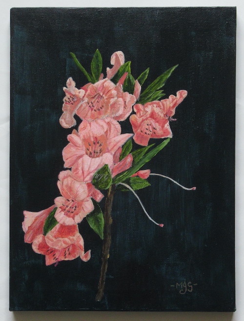 rhododendron