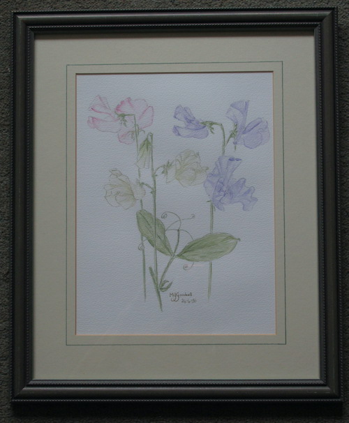 Summer Fragrance