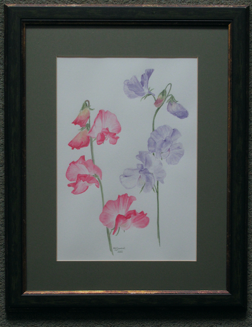 'Winter Sunshine Sweet Peas'