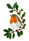 Robin