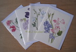 Pack of 4 Sweet Pea Cards