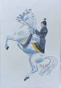 Lipizzaner