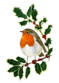 robin